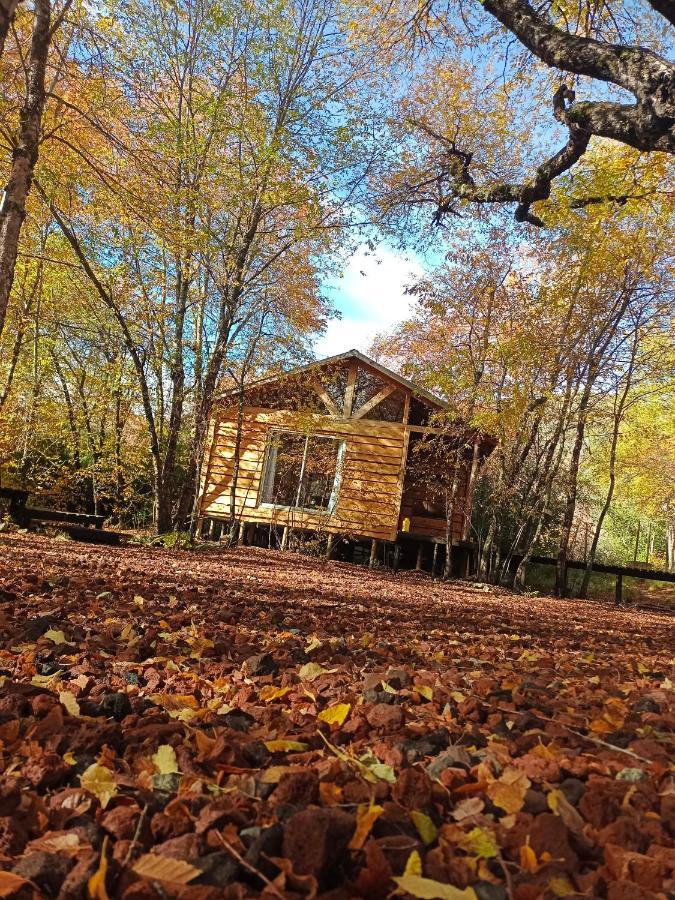 Cabanas Huilipan Лас-Транкас Екстер'єр фото