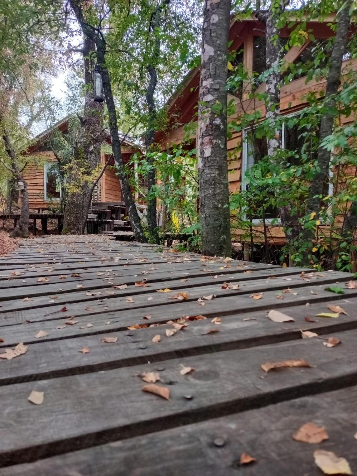 Cabanas Huilipan Лас-Транкас Екстер'єр фото
